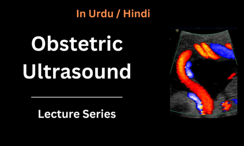 Obsteric Ultrasound